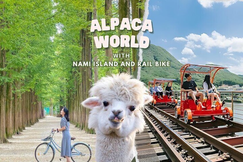 Alpaca World and Nami Island with Gangchon Rail Bike Tour