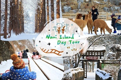 Alpaca World and Nami Island with Gangchon Rail Bike Tour