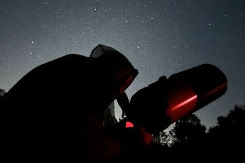 Night Sky Stargazing Tour in Punta Gorda Florida