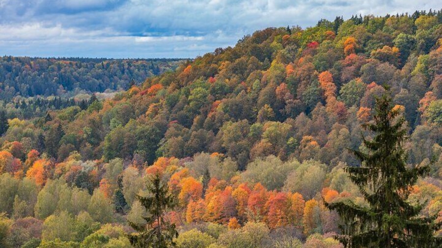 Half-Day Latvias Switzerland and Gauja National Park Private Tour