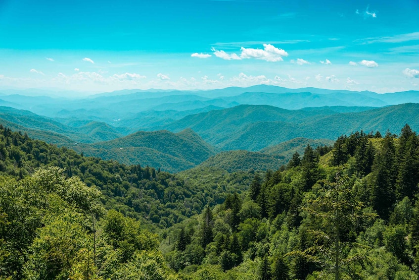 Pigeon Forge: Sights of the Smokies Guided Tour