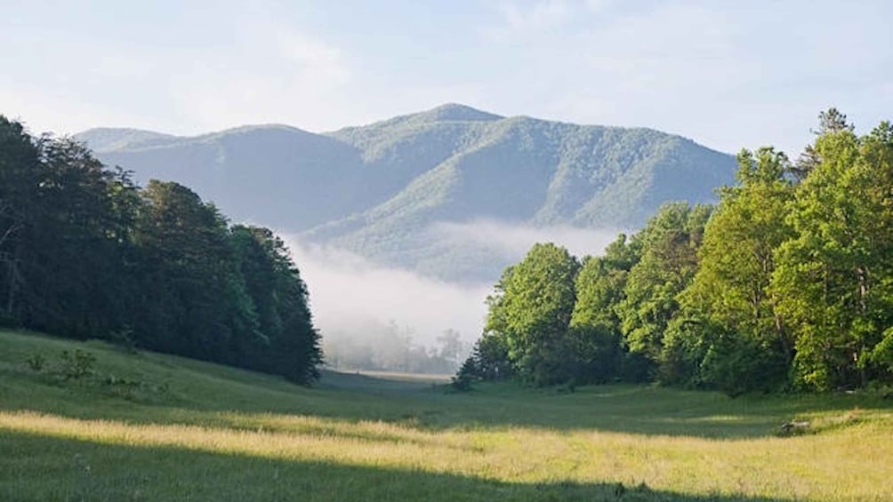 Picture 4 for Activity Pigeon Forge: Sights of the Smokies Guided Tour