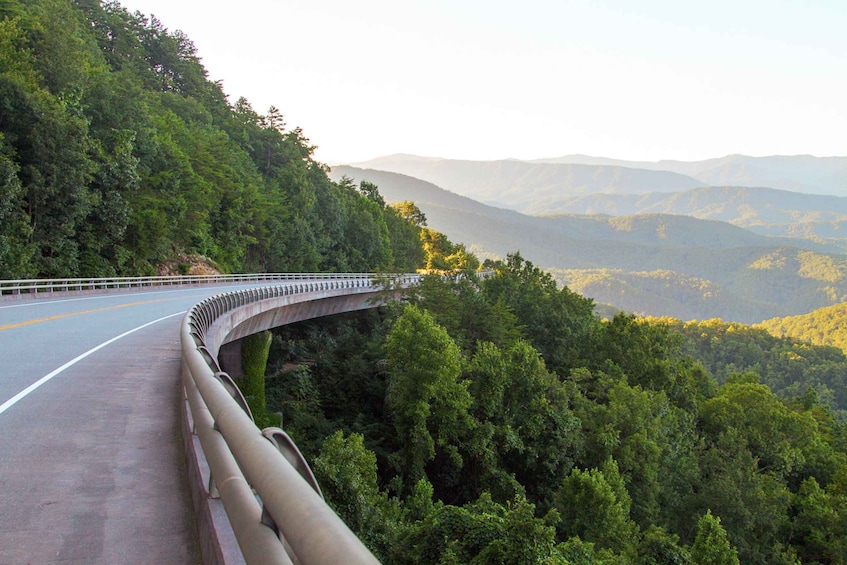 Picture 2 for Activity Pigeon Forge: Sights of the Smokies Guided Tour