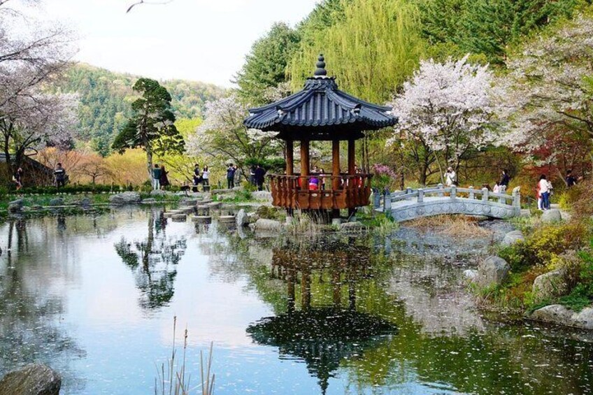 Nami Island & Garden of Morning Calm Day Tour