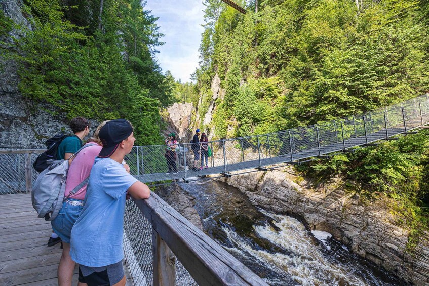 Picture 3 for Activity Canyon Sainte-Anne: AirCANYON Ride and Park Entry