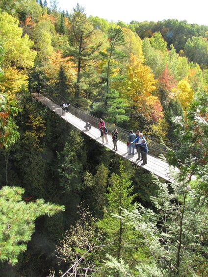 Picture 17 for Activity Canyon Sainte-Anne: AirCANYON Ride and Park Entry