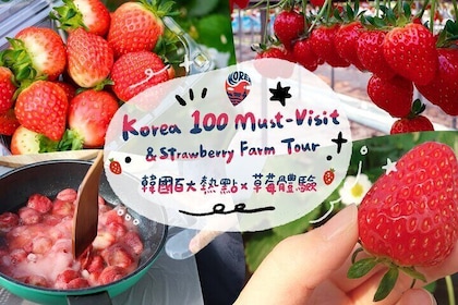 Strawberry Picking+Jam Making+Nami Island+Garden of Morning Calm Lighting F...