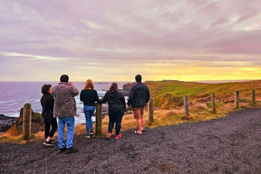 Phillip Island Penguins Tour with Wine and Lunch from Melbourne