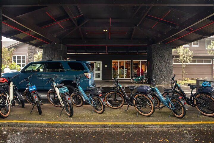 Fat Tire E-Bike Rental - Volcanoes National Park