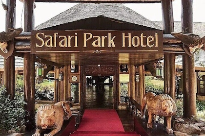 Safari Park dinner with live band music and cat dance