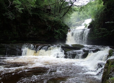 From Cardiff: Brecon Beacons Waterfall Walking Tour