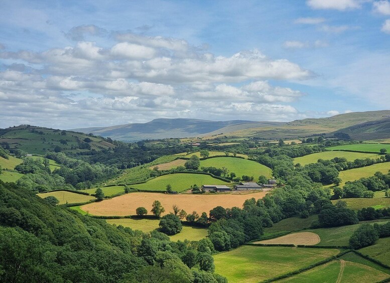 Picture 8 for Activity From Cardiff: Brecon Beacons Waterfall Walking Tour