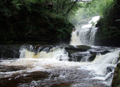 Dari Cardiff: Tur Jalan Kaki Air Terjun Brecon Beacons