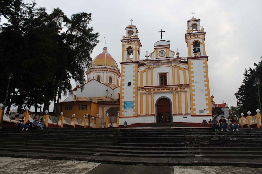 Picture 6 for Activity From Veracruz: Xalapa, Xico & Coatepec Culture & Coffee Tour