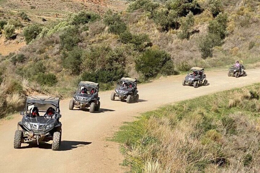 3 Hours Guided Buggy Safari Adventure in the Mountains of Mijas