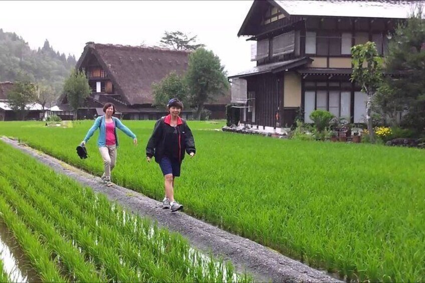 Shirakawago & Takayama DrivingTour: English Speaking Driver Kanazawa to Takayama