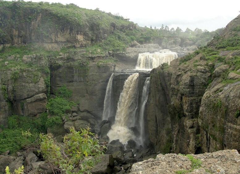 Picture 3 for Activity Addis Ababa: Monasteries, Wildlife, & Hike Private Day Trip