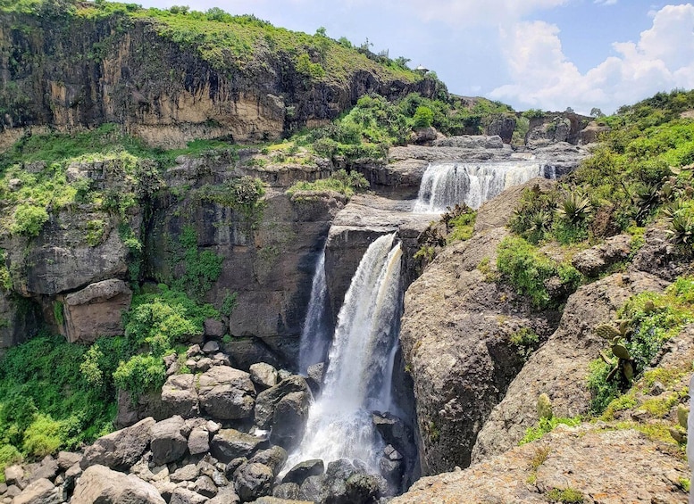 Picture 6 for Activity Addis Ababa: Monasteries, Wildlife, & Hike Private Day Trip