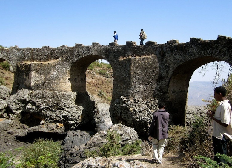 Picture 4 for Activity Addis Ababa: Monasteries, Wildlife, & Hike Private Day Trip