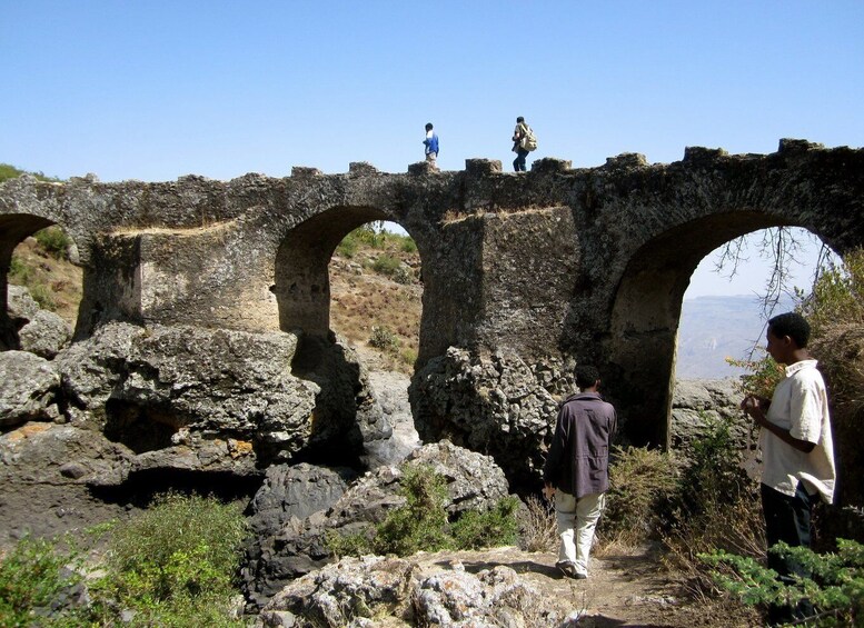 Picture 4 for Activity Addis Ababa: Monasteries, Wildlife, & Hike Private Day Trip