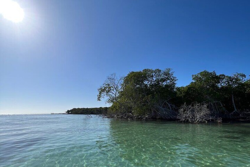 Private Half-Day Catamaran Cruise, Turks and Caicos Islands