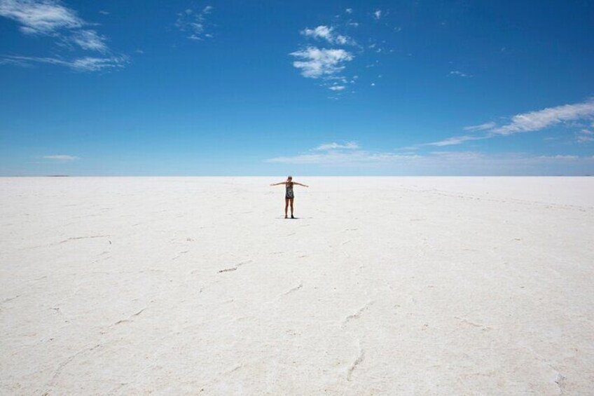 Kati Thanda-Lake Eyre National Park (Credit Allan Dixon)