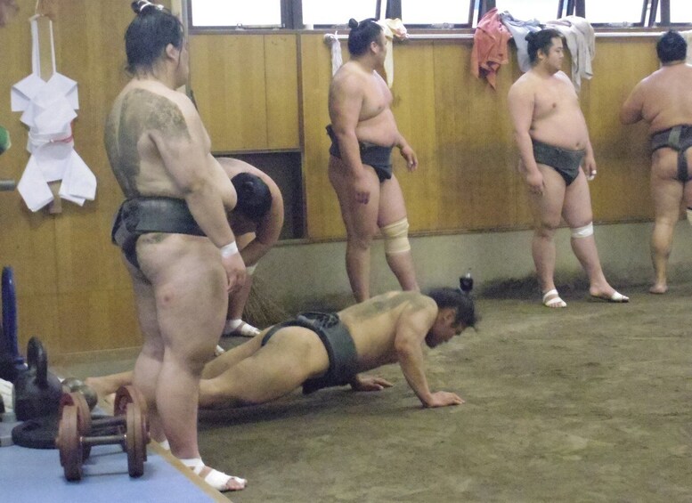 Picture 12 for Activity Tokyo: Sumo Morning Practice Viewing Tour