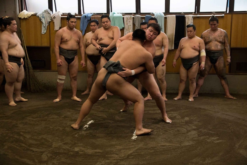 Picture 16 for Activity Tokyo: Sumo Morning Practice Viewing Tour