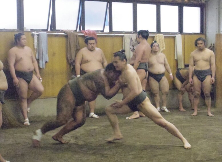 Picture 1 for Activity Tokyo: Sumo Morning Practice Viewing Tour