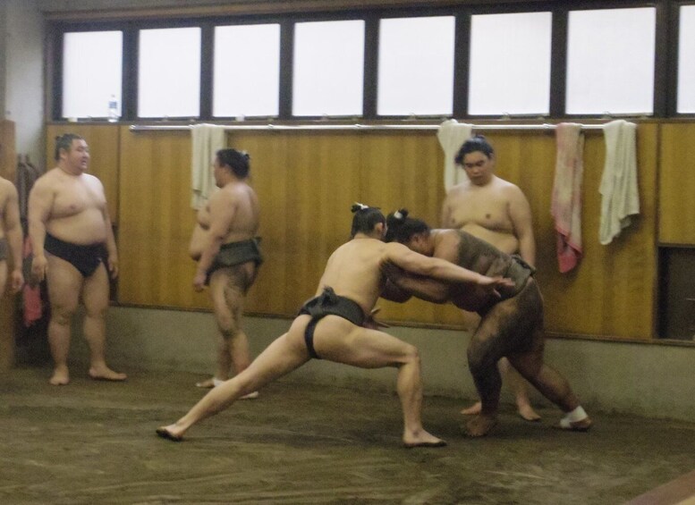 Picture 8 for Activity Tokyo: Sumo Morning Practice Viewing Tour