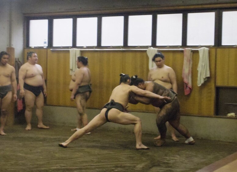 Picture 9 for Activity Tokyo: Sumo Morning Practice Viewing Tour