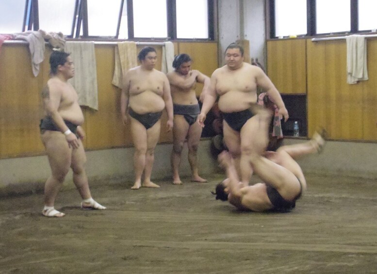 Picture 10 for Activity Tokyo: Sumo Morning Practice Viewing Tour