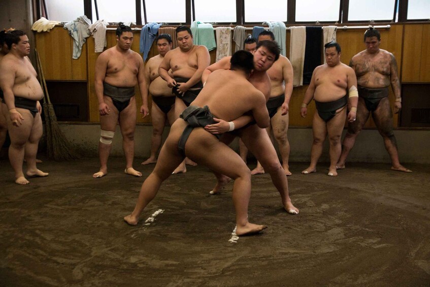 Picture 17 for Activity Tokyo: Sumo Morning Practice Viewing Tour