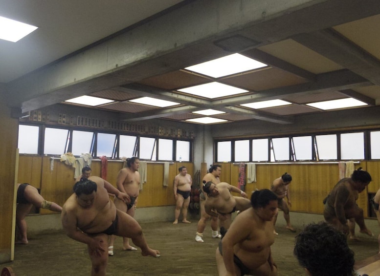 Picture 13 for Activity Tokyo: Sumo Morning Practice Viewing Tour