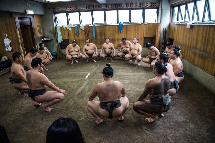 Picture 5 for Activity Tokyo: Sumo Morning Practice Viewing Tour