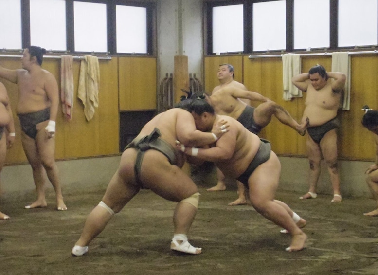 Tokyo: 2-Hour Guided Sumo Morning Practice Viewing Tour