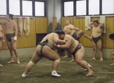 東京：相撲早晨練習觀賞之旅
