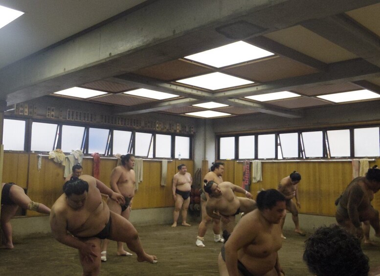 Picture 12 for Activity Tokyo: Sumo Morning Practice Viewing Tour