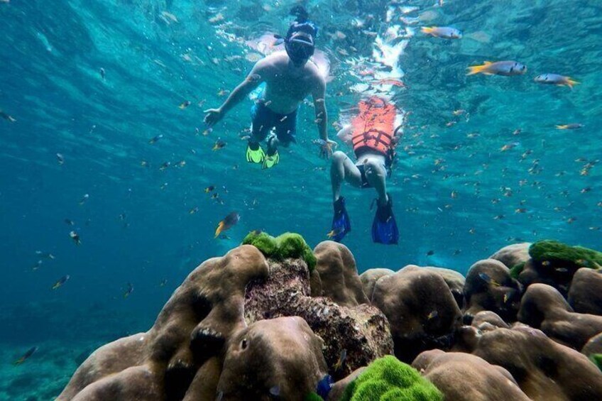 4 Islands Day Tour By Opal Travel Speedboat