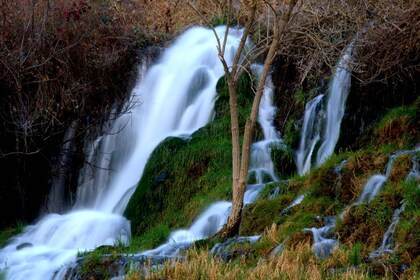 Desde Zadar: tour privado a las cascadas de Krka y Sibenik