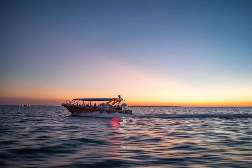 Picture 4 for Activity Darwin: Sunset Harbour Cruise with Fish and Chips Dinner