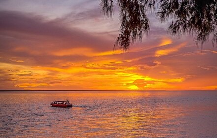 Darwin: Sunset Harbour Cruise med Fish and Chips-middag