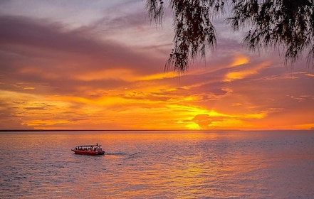 Darwin: Crociera al tramonto nel porto con cena a base di pesce e patatine ...