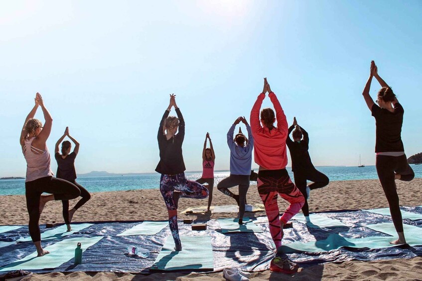 Picture 6 for Activity Mallorca: Yoga and Brunch on Palmanova Beach