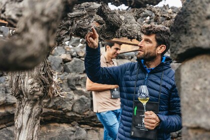 Lanzarote: Vinsmakingstur på El Grifo Bodega