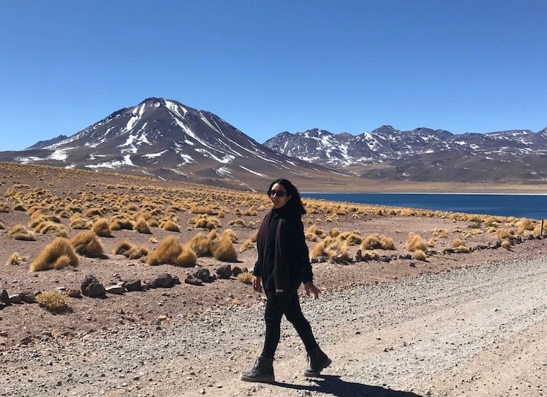 Picture 23 for Activity San Pedro de Atacama: Red Rocks & Altiplano Lagoons Day Trip