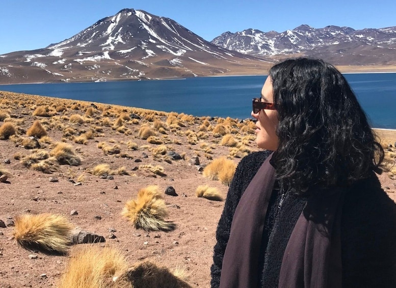 Picture 10 for Activity San Pedro de Atacama: Red Rocks & Altiplano Lagoons Day Trip