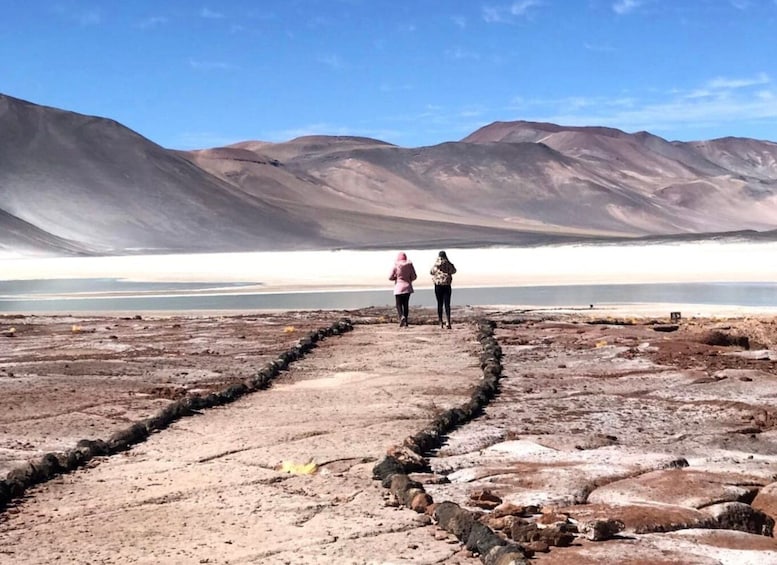 Picture 2 for Activity San Pedro de Atacama: Red Rocks & Altiplano Lagoons Day Trip