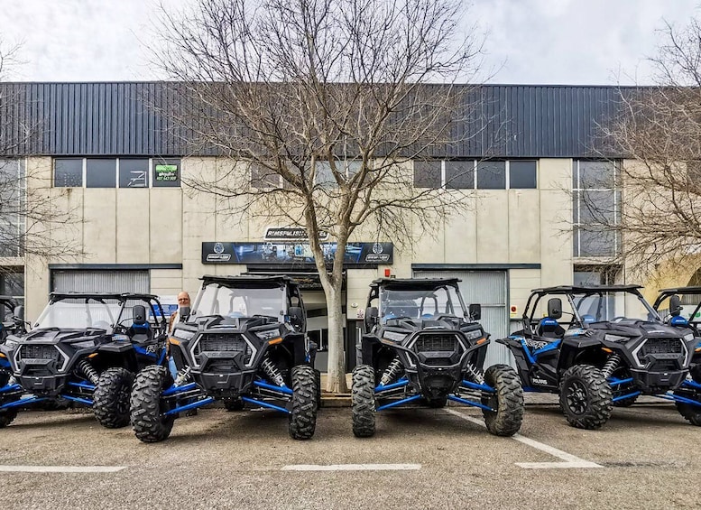 Picture 4 for Activity Palma de Mallorca: Off/On Road Buggy Tour with 2 or 4 Seater