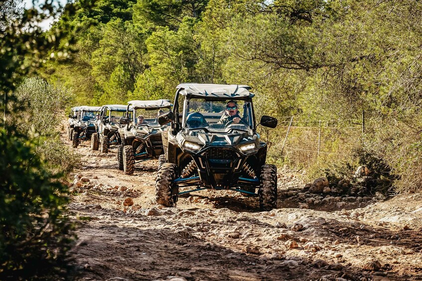 Picture 5 for Activity Palma de Mallorca: Off/On Road Buggy Tour with 2 or 4 Seater